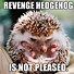 Image result for Ugly Baby Animals Cute Hedgehog