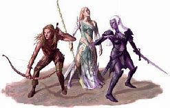 Image result for Dark Elf Female Rogue Characters