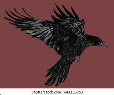 Image result for Raven in Red Illustration