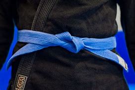 Image result for Blue Belt Jiu Jitsu