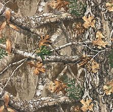 Image result for Realtree Camouflage Patterns
