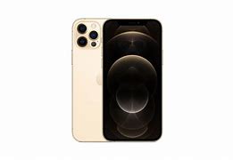 Image result for iPhone 12 Mini Gold