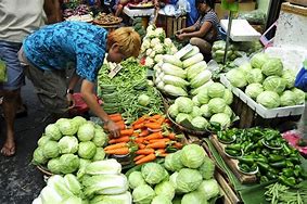 Image result for Philippine Vegetables