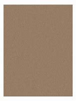 Image result for Champagne Color Swatch