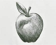 Image result for Mansanas Drawing