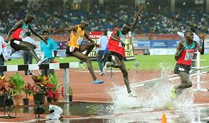 Image result for Steeplechase Track Layout