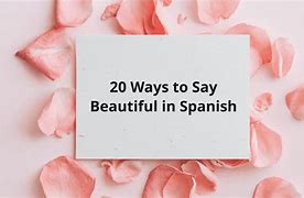 Image result for Senior Quotes in Spanish Funny