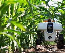 Image result for agriculture robots farm
