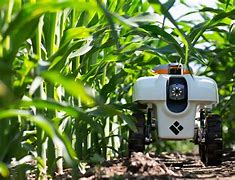 Image result for Round Plant Robot