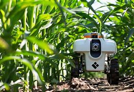 Image result for Crops Inspection Robot