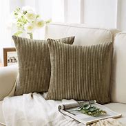 Image result for Accent Pillows
