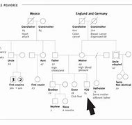 Image result for 8 Generation Pedigree Chart Template