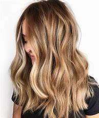 Image result for Dark Blonde Hair Color with Highlights