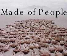 Image result for King Made of PPL