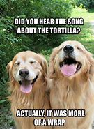 Image result for Bing Funny Animal Memes