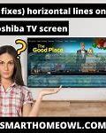 Image result for Toshiba TV Screen Problems
