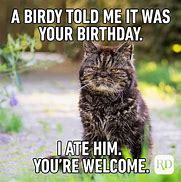 Image result for Friend Birthday Meme Animal