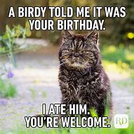 Image result for Girl Cat Birthday Meme