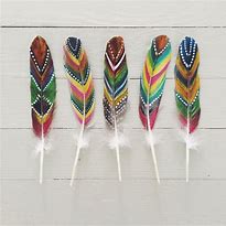 Image result for Painted Goose Feathers