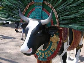 Image result for Show Cattle Aztec