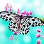 Image result for Most Beautiful Butterfly Desktop Wallpapers