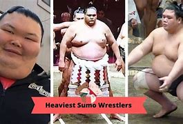 Image result for Sumo Wrestler Quotes