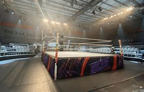 Image result for WWE NXT Arena