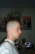 Image result for Jackson Galaxy Mohawk