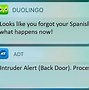 Image result for Duolingo Twitter Meme