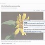 Image result for Wikimedia Interface
