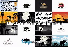 Image result for Aesthetic Black and White Safari Icon