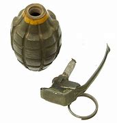 Image result for Us Grenade