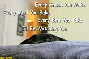 Image result for Dog Watching Food Meme