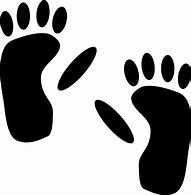 Image result for Gorilla Footprint