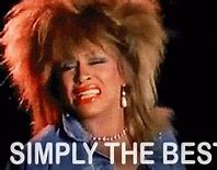 Image result for Tina Turner You're Simply the Best Meme