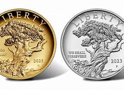 Image result for 2023 Coin Battery