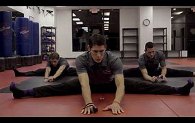 Image result for Martial Arts Stretches