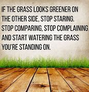 Image result for Just Because the Grass Looks Greener