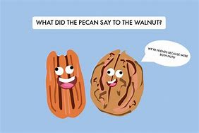 Image result for Food Funnies