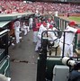 Image result for Field Box Seats Busch Stadium