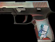Image result for P250 Cyber Shell