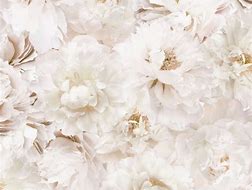 Image result for HD White Floral Background