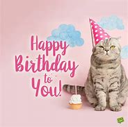 Image result for Cat Birthday Wishes