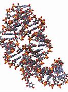 Image result for DNA Aptamer
