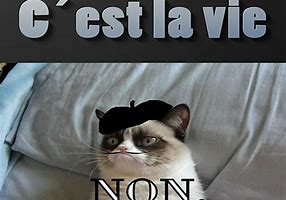 Image result for Spanish French Spelling Meme