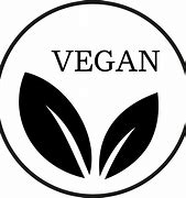 Image result for Example of Vegetarian Diet