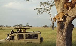 Image result for Zoos in Kenya