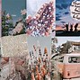 Image result for Aesthetic Spring Collage