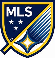 Image result for LA Galaxy Soccer Team