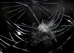 Image result for Animals Cracked Screen